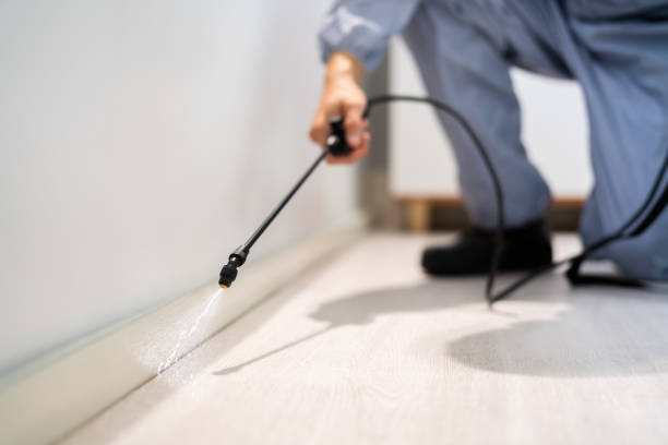 Professional exterminator conducting IPM assessment in The Plains