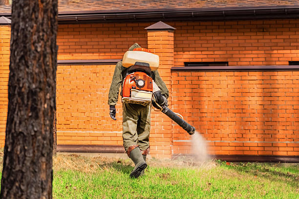Bed Bug Clearance Verification and Documentation in The Plains